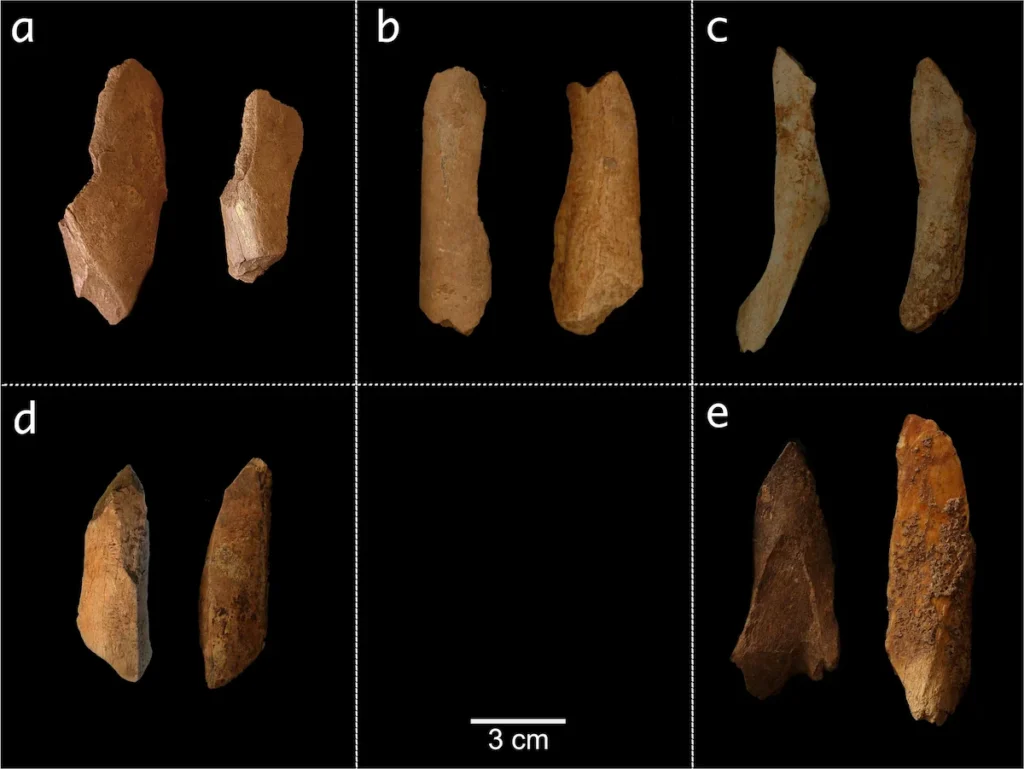 neanderthals standardized bone tools