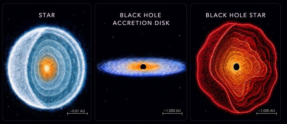 This figure compares a star, a black hole accretion disk, and a black hole star. The JWST's Little Red Dots may be what astronomers are calling black hole stars. They're early SMBH surrounded by gas rather than an accretion disk. LRDs may be red because their light is travelling through a thick dusty envelope instead of a dusty disk. Image Credit: Rohan Naidu (University of Hawai’i)