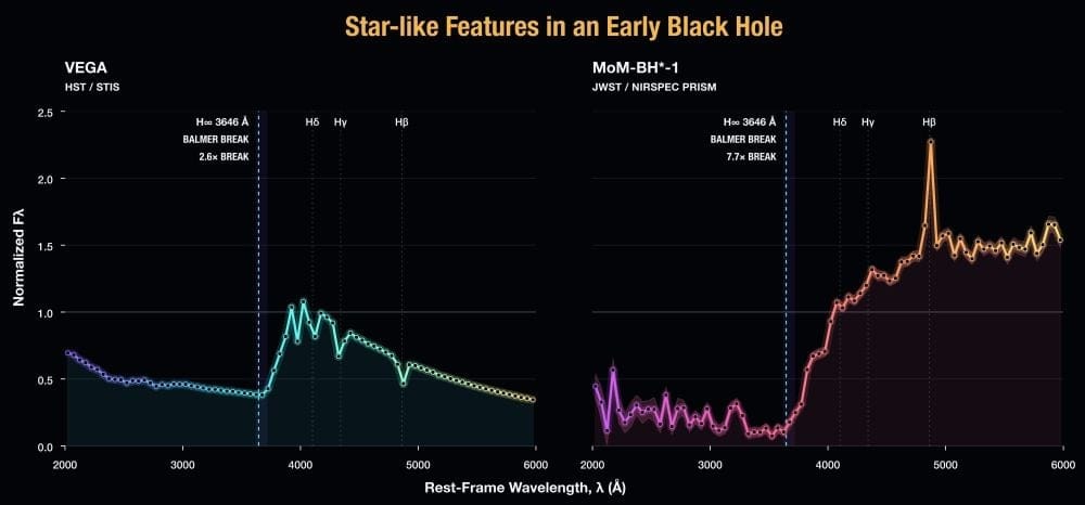 This image shows spectroscopy from the nearby star Vega (left) and from MoM-BH*-1 (right). The Balmer break is labelled in each panel. "Black Hole Stars (right) display star-like features such as Balmer breaks. These features are imprinted by their shrouds of dense gas that are in some ways analogous to the outer layers and winds of stars," the authors explain. But in other respects, these black hole stars are extreme. "MoM-BH*-1 shows one of the deepest Balmer breaks ever observed (a ~7.7x drop in light across the Balmer break compared to ~2.6x for Vega)," the researchers write. This supports the idea that LRDs are actually SMBH surrounded by a gaseous envelope instead of a dusty accretion disk. Image Credit: Naidu et al. 2026. Nature.