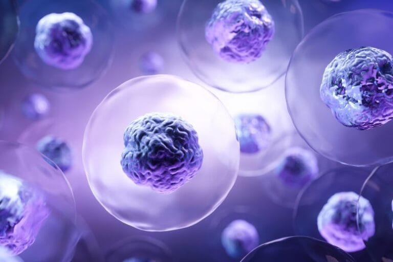 Cientistas revelam como células controlam o ferro tóxico