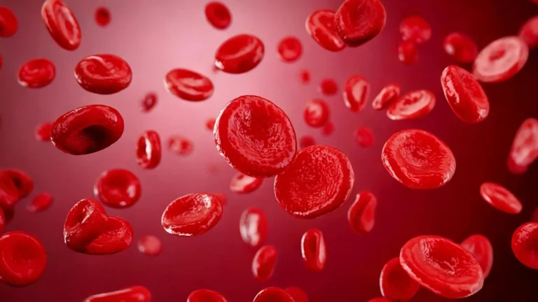 Estudo aponta mudanças na química do sangue com aumento de CO2