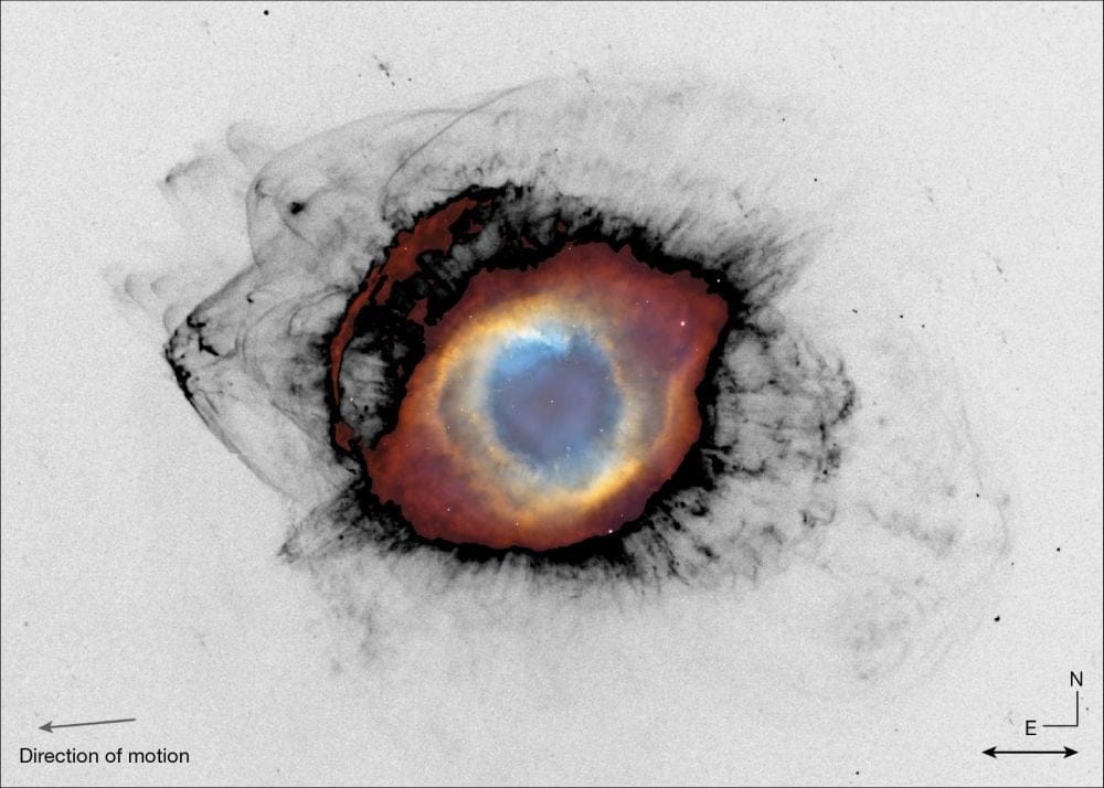 This MOTHRA image has been continuum-subtracted and given an inverted grey-scale to reveal the Helix Nebula's faint outer features. The central colour part is from the Hubble and the Kitt Peak Observatory. The direction of motion comes from the Gaia mission. Image Credit: van Dokkum et al. 2026. Nature.