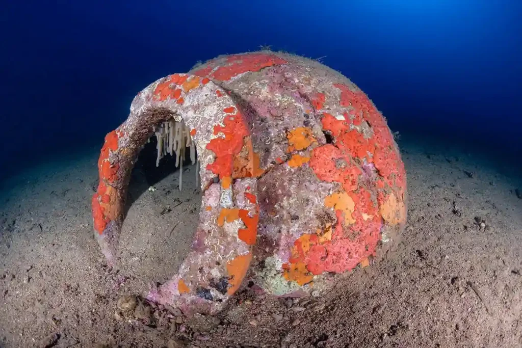 dolium roman shipwreck Elba island