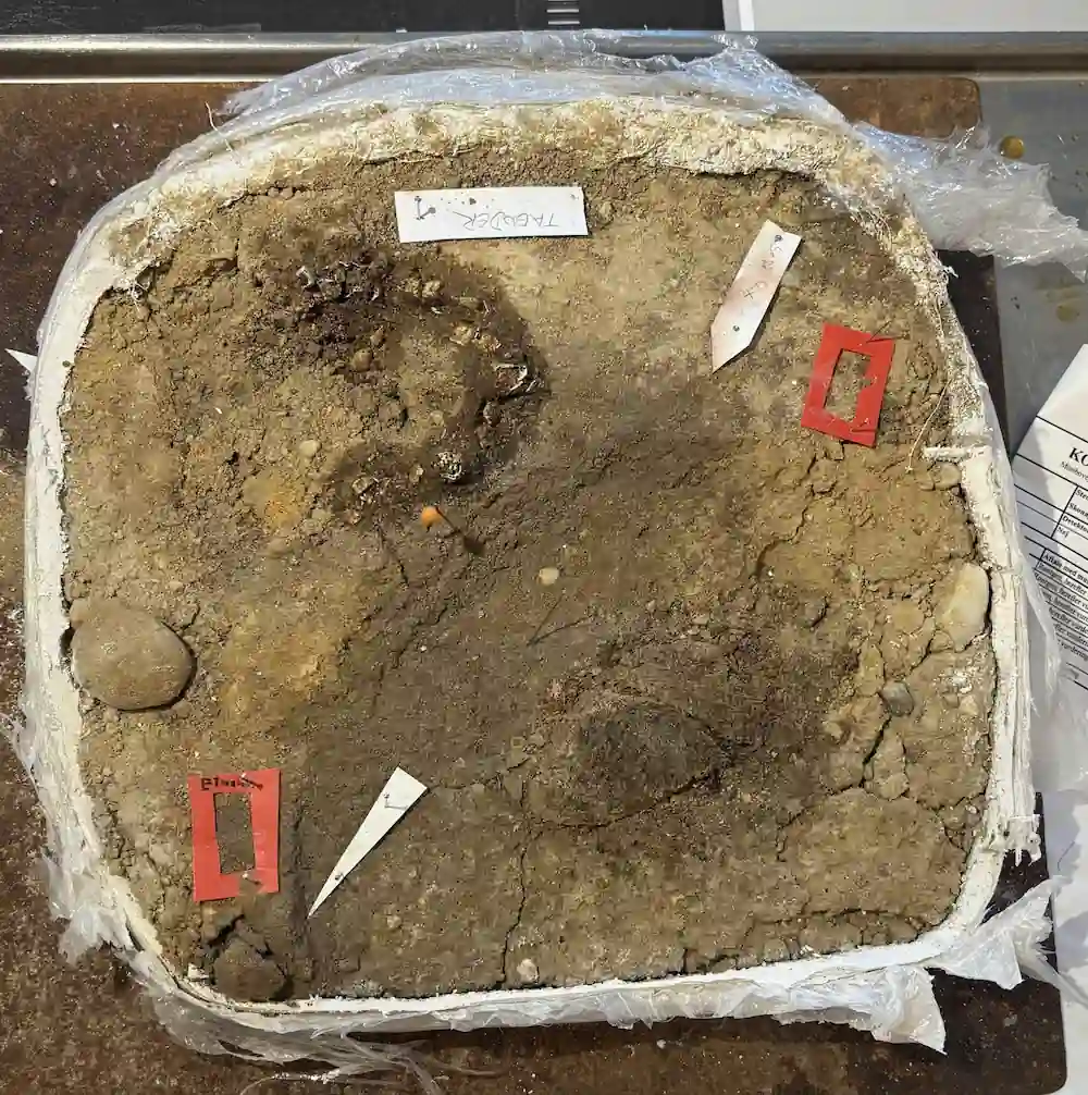 brooches viking woman grave textile remains