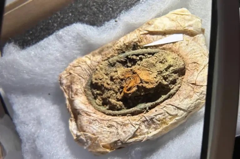 Túmulo de jovem viking com vestígios de vestido de 1.300 anos encontrado