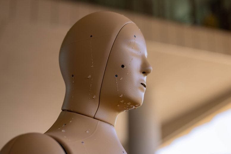 ANDI the Sweating Manikin