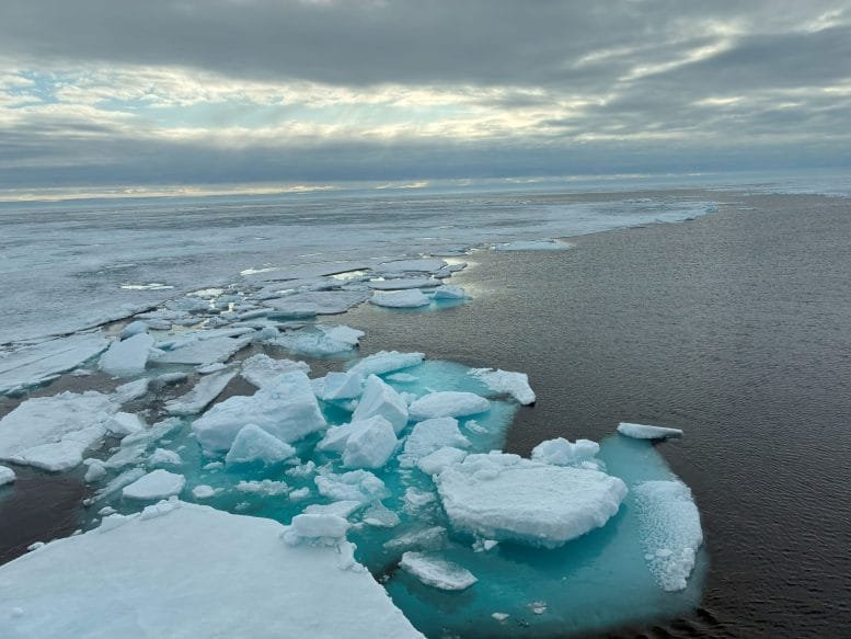 Arctic Sea Ice Floes