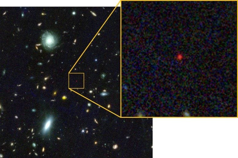 Black Hole Star as a Little Red Dot