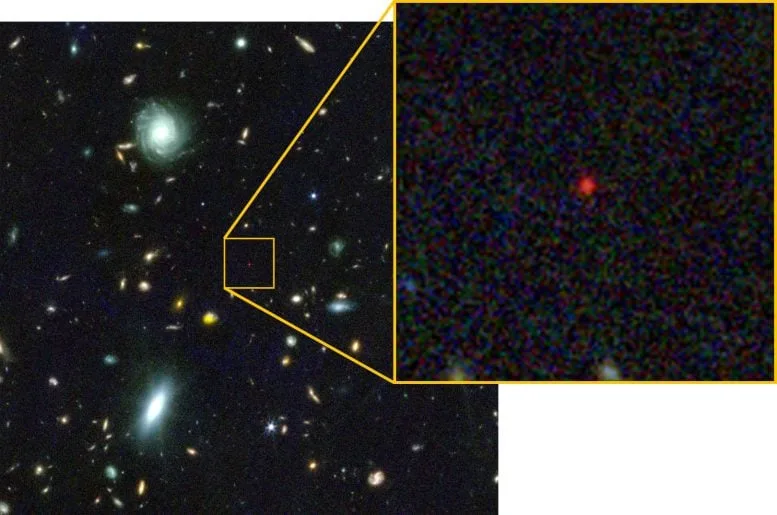Black Hole Star as a Little Red Dot