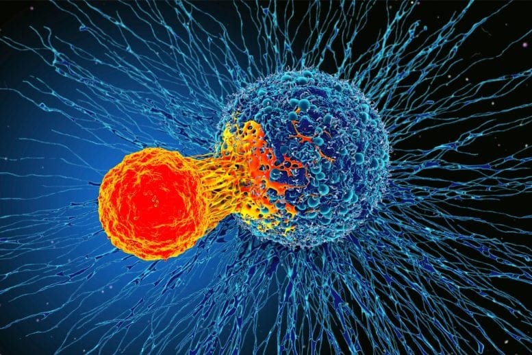 Cancer Cell Immune Cell Illustration