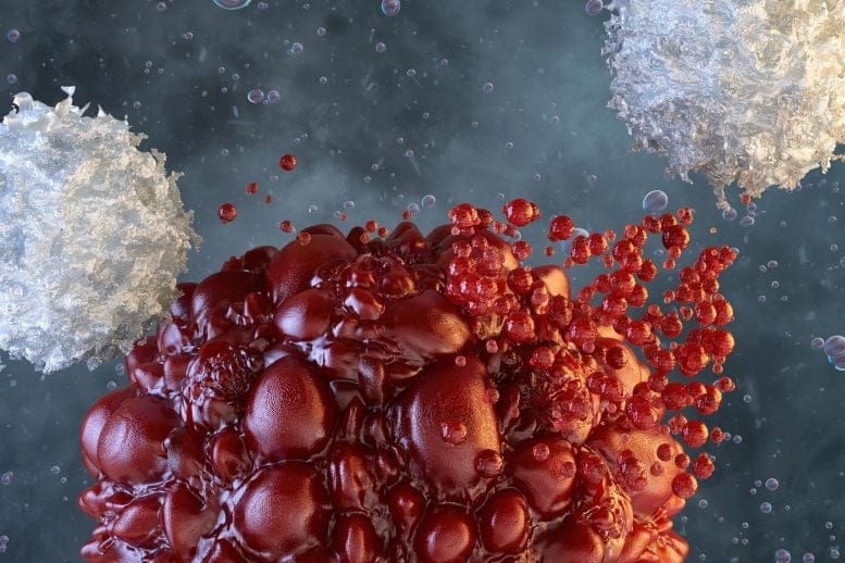 Cancer Cell Targeted NK Natural Killer Immune Cells