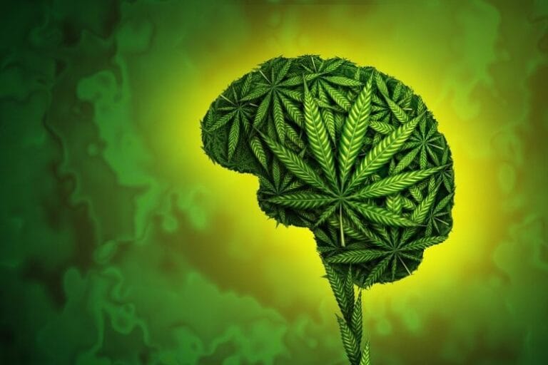 Estudo revela padrão hormonal em usuários frequentes de cannabis