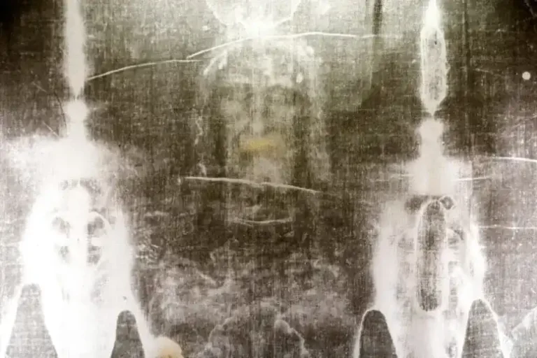 Advanced DNA sequencing revealed that the fibers of the Shroud of Turin preserve a remarkably complex record of human contact, microorganisms, plants, and animals accumulated over the centuries. Credit: Shutterstock.