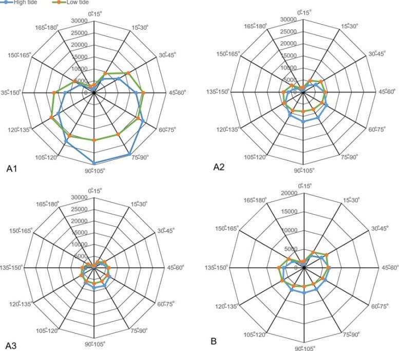 Distribution of High and Low Tides Versus Lunar Angle