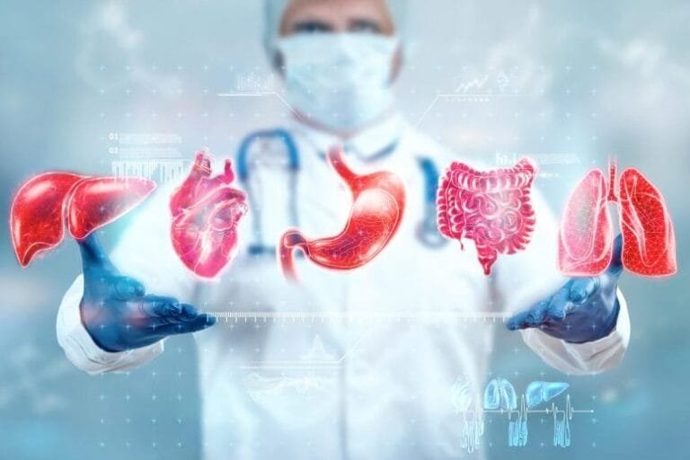 Estudo revela que órgãos humanos envelhecem em ritmos diferentes