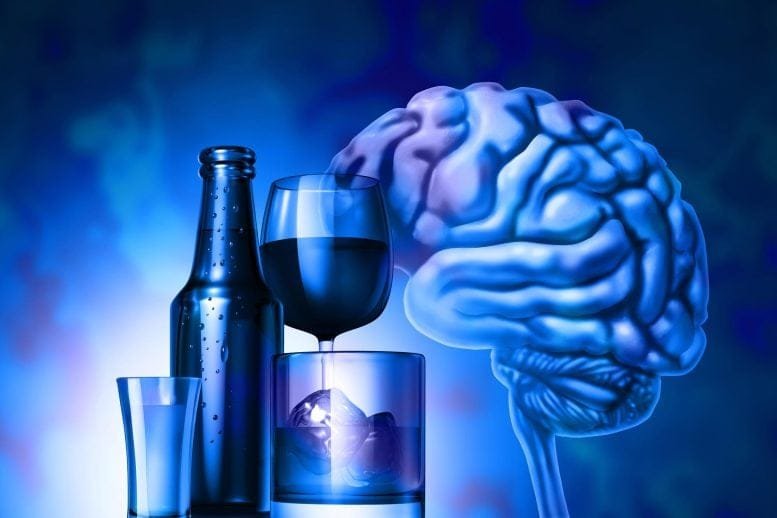 Drinking Alcohol Brain Health Risk Neuroscience Addiction