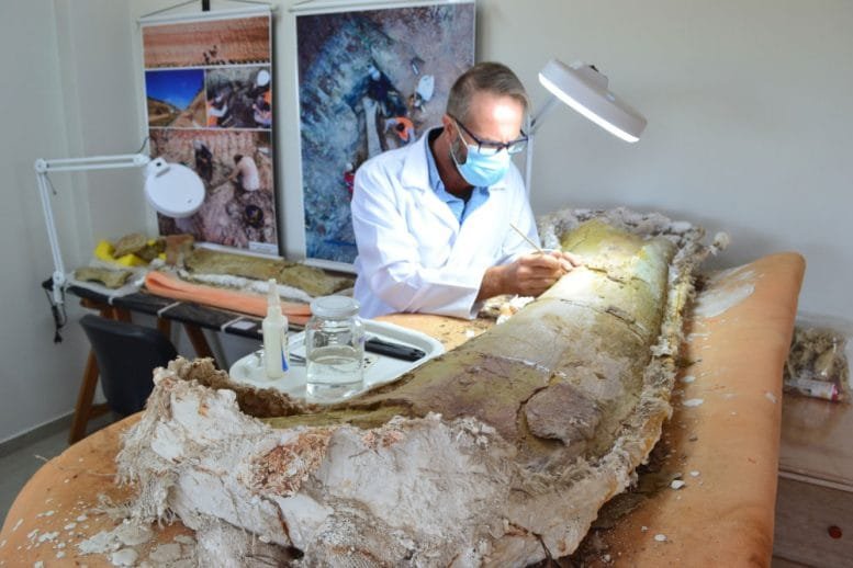 Elver Mayer Prepares a Femur Fossil