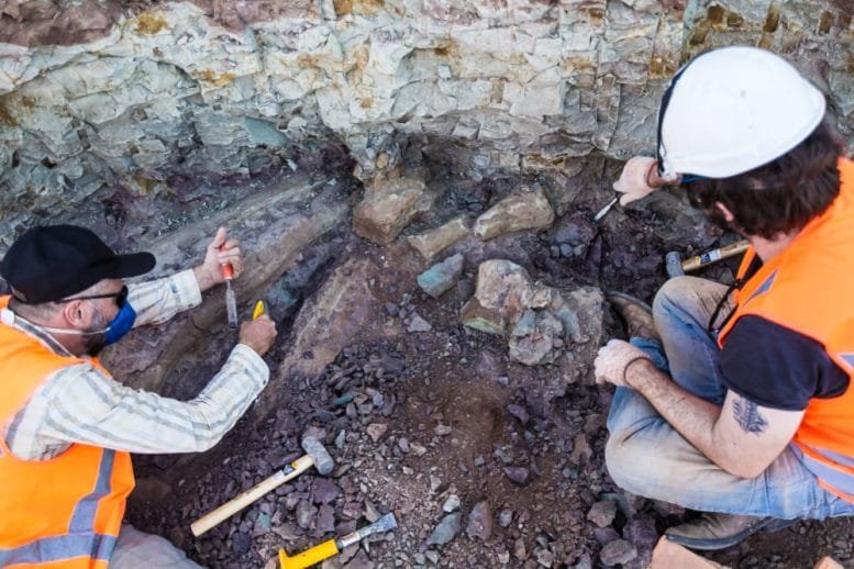 Elver Mayer and a Team Member Excavate Around the Fossils