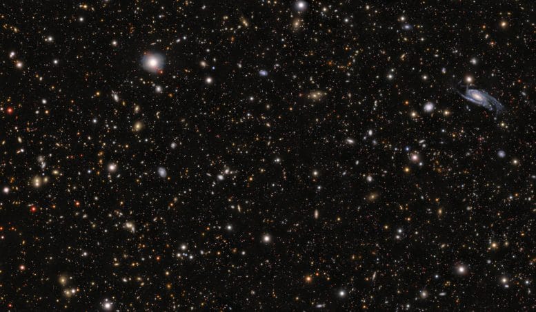 Ffield Around the Progenitor to Supernova SN 2026gzf