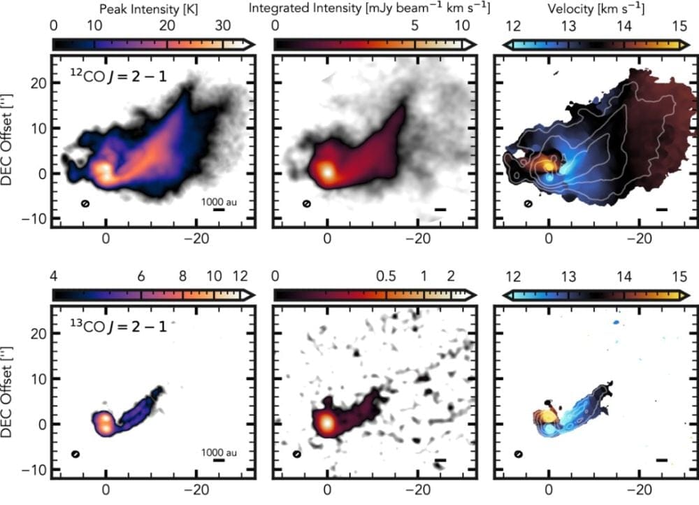 These panels show the gas in the GW Orionis stream. The top row shows 12CO and the bottom row shows 13CO. The left column shows peak intensity maps, the middle column shows integrated intensity maps, and the right column shows line-of-sight velocity maps. The 12CO maps show the length and extent of the gas streamer. The small line in the bottom right of each panel represents 1,000 astronomical units. Image Credit: Galloway-Sprietsma et al. 2026. AnJ. DOI 10.3847/1538-3881/ae8bae