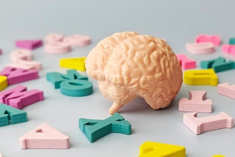 Estudo relaciona poliglotismo a padrões cerebrais mais jovens
