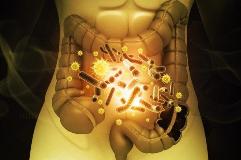 Microbioma intestinal pode ser contagioso, revela estudo