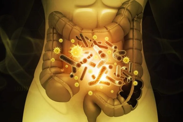 Microbioma intestinal pode ser contagioso, revela estudo