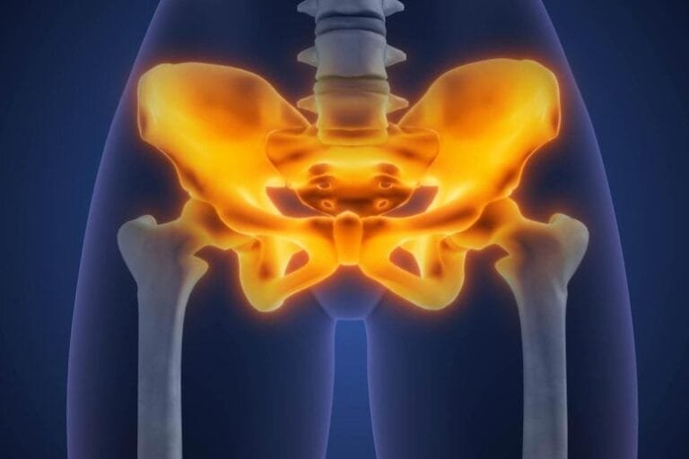Pelvis de Neandertal de 35 mil anos explica marcha humana