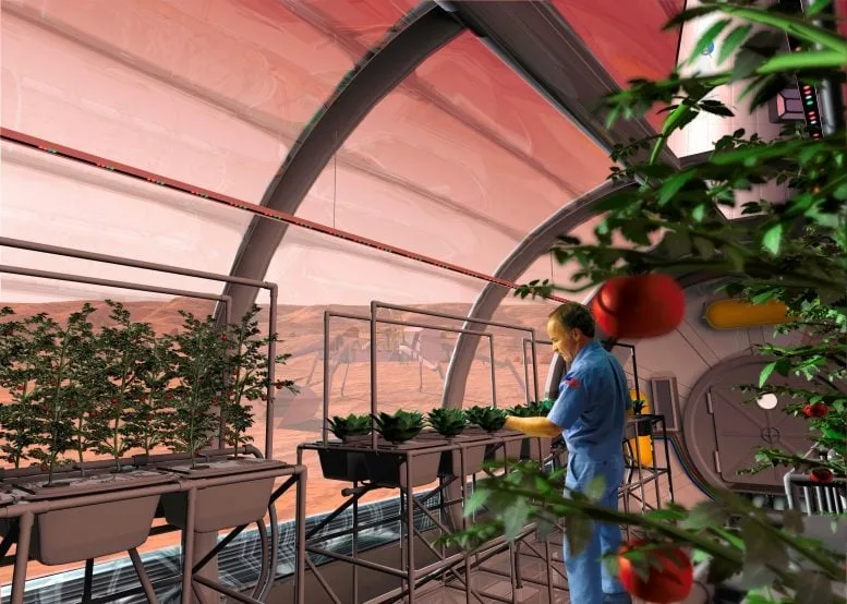 Inside Mars Greenhouse