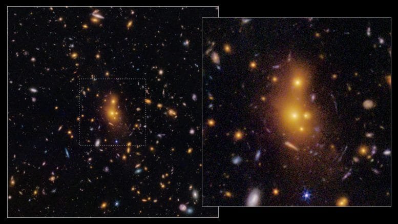 JWST Image of Galaxy Cluster XLSSC 122