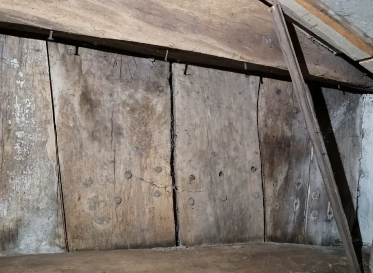 Descoberta de casco medieval em porão de Constance