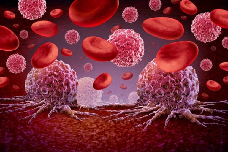 Cientistas descobrem nova via de ataque de células T à leucemia