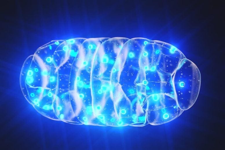 Mitochondria Blue Glow