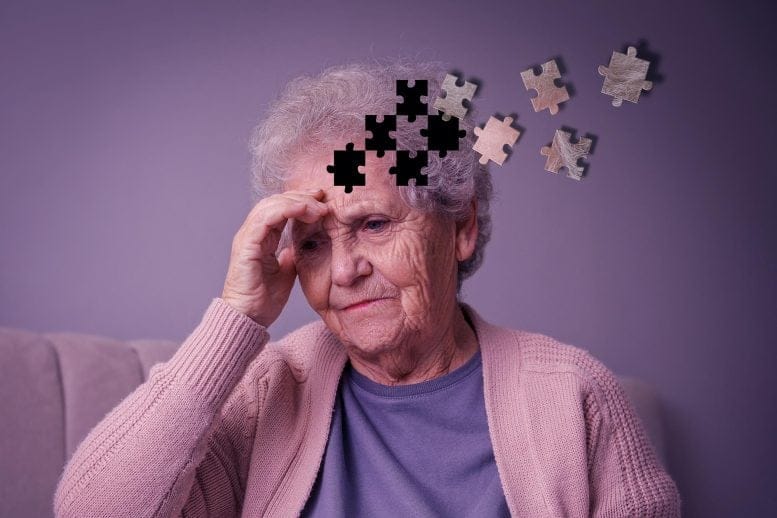 Old Woman Alzheimer's Puzzle Dementia