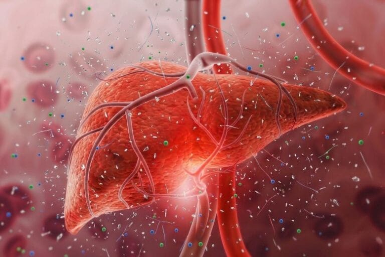 Estudo associa microplásticos de polietileno a doenças hepáticas