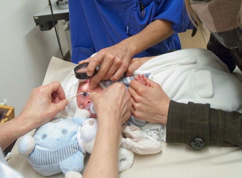 Premature Baby Examined for the Eye Disease Retinopathy of Prematurity
