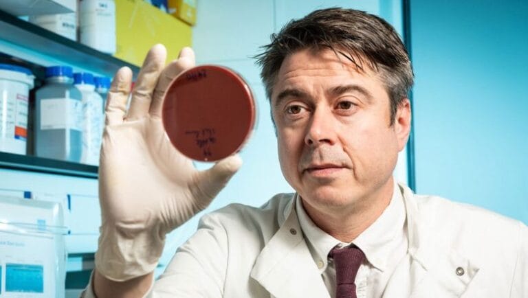 Produção industrial de frango aumenta disseminação de Campylobacter
