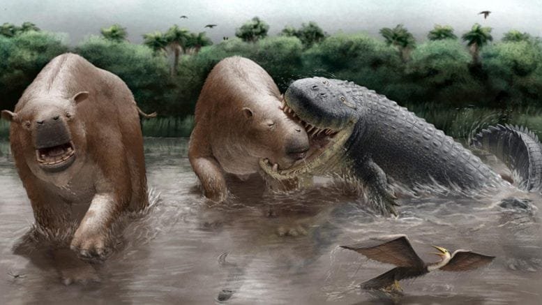 Purussarus neivensis Attacking Pericotoxodon platignathus