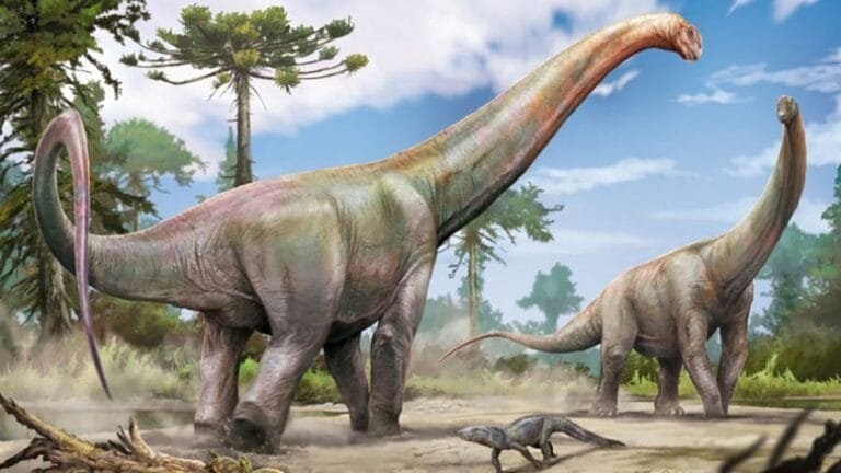 Fósseis revelam nova espécie de dinossauro no Maranhão