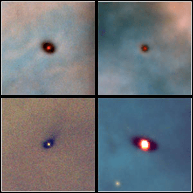 Four protoplanetary discs around young stars in the Orion Nebula, each between two and eight times the width of our Solar System. Discs like these are unremarkable in the universe today. The new work argues they were forming before there were galaxies to hold them (Credit : NASA, Mark McCaughrean (MPIA), C. O'Dell (Rice University))