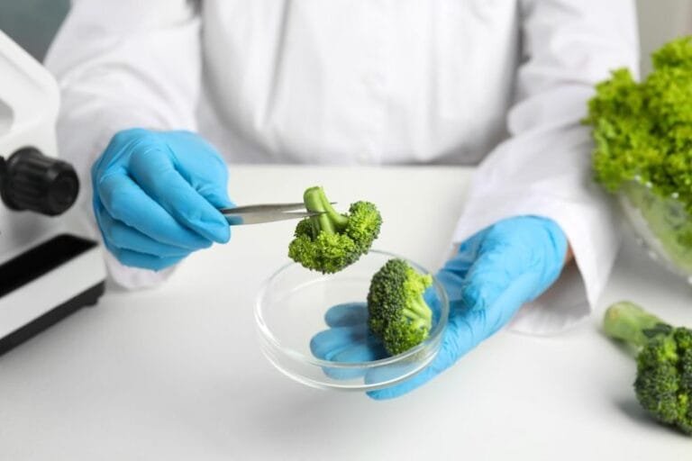 Composto do brócolis pode ajudar no tratamento de ataxia