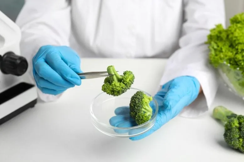 Scientist Analyzes Broccoli