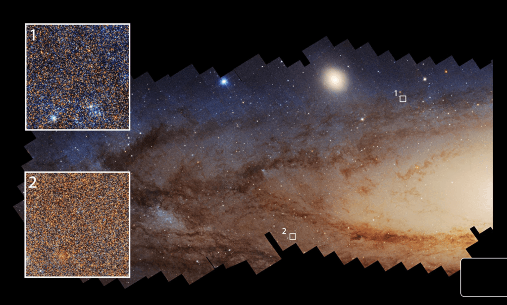 Hubble image of the Andromeda galaxy, showing the bluer regions that have experienced recent star formation (1) and redder regions with less recent star formation (2). Credit: NASA/ESA/UWashington/Northwestern/STScI