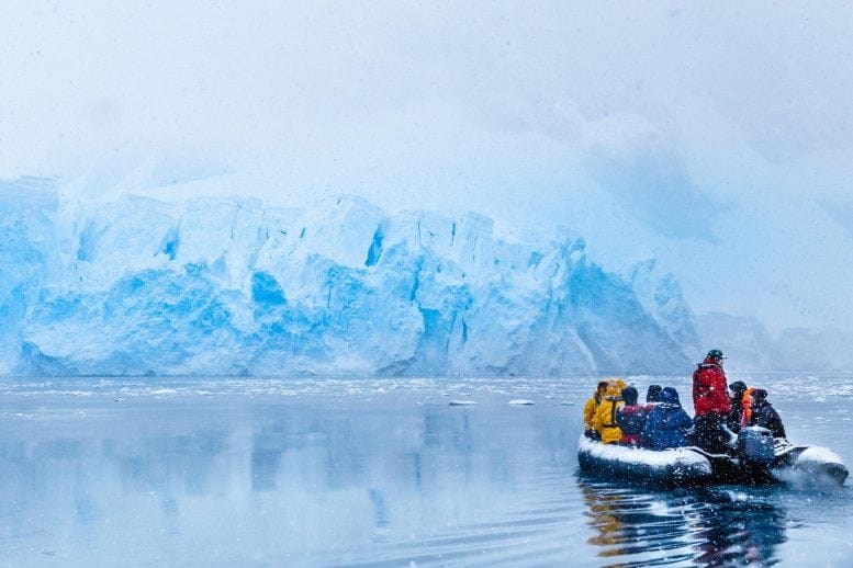 Snowfall Frozen Tourists Antarctica