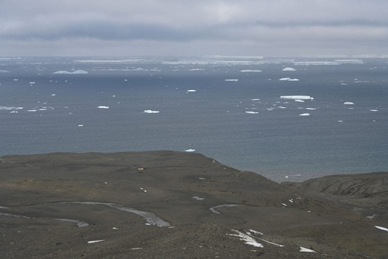 Submeseta Formation on Seymour Island