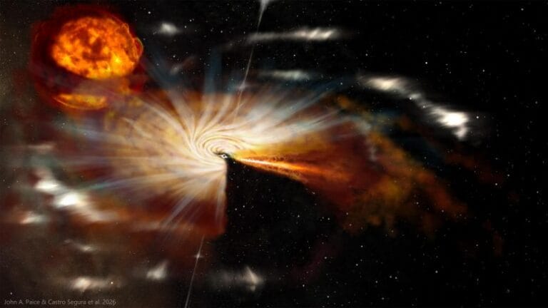 Observações de Swift J1727.8-1613 revelam buracos negros ativos