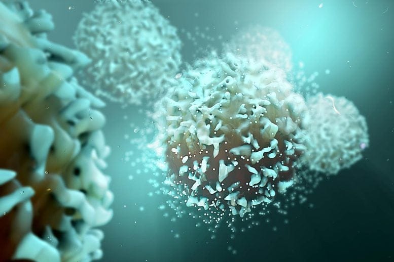 T Cells Cancer Cells