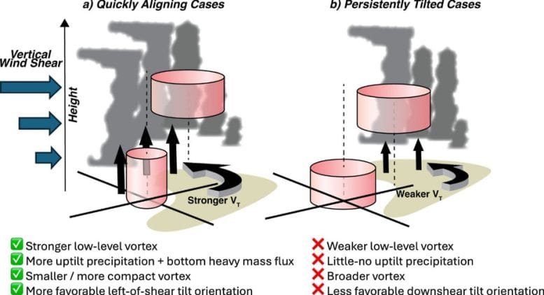 Tropical Cyclone Alignment and Persistent Tilt