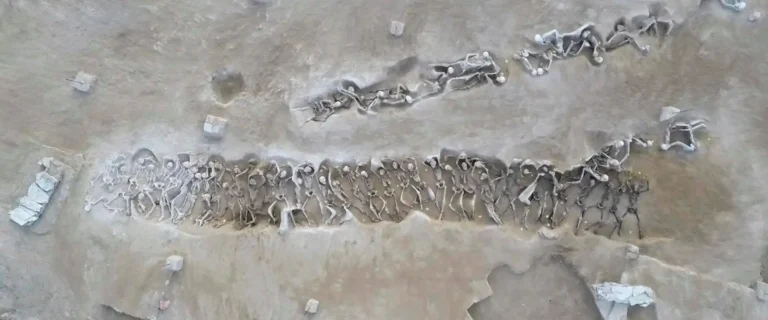 Estudo revela que homens da sepultura de Phaleron eram atenienses