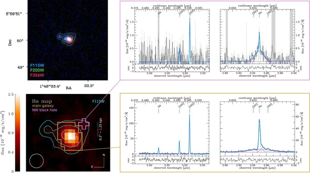 This figure shows JWST images of J0148-4214 on the left, along with spectra in the middle and right columns. The middle column shows narrow OIII lines while the right column shows broad H-alpha emissions. Image Credit: Übler et al. 2026. A&A. https://doi.org/10.1051/0004-6361/202557419